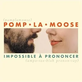 Pomplamoose — Comment Te Dire Adieu — обложка